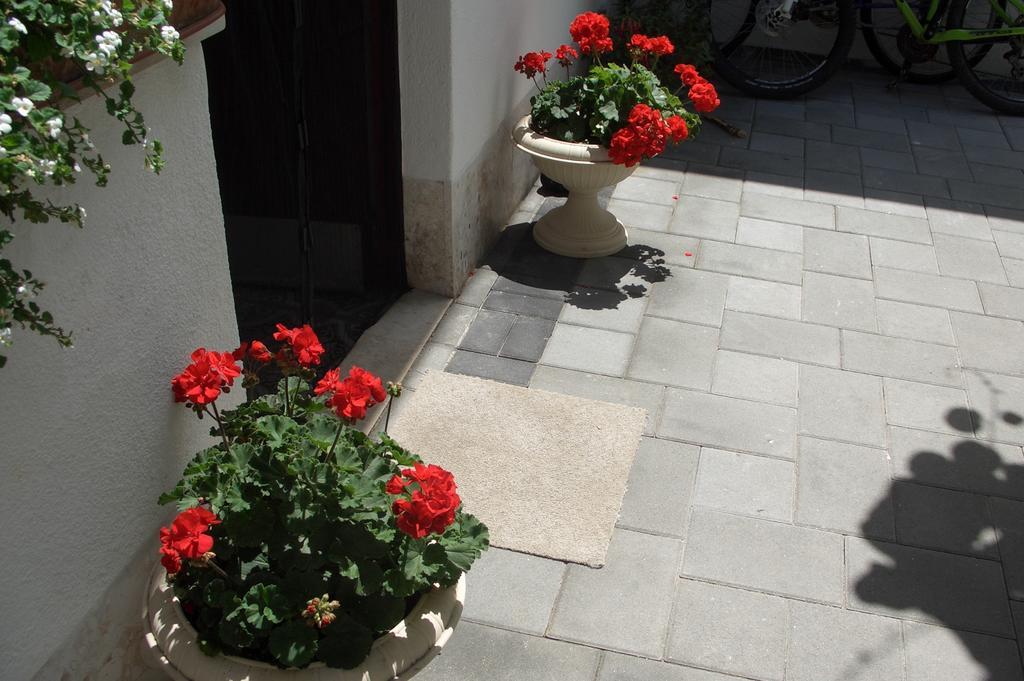 Apartment Vesna Zadar Phòng bức ảnh