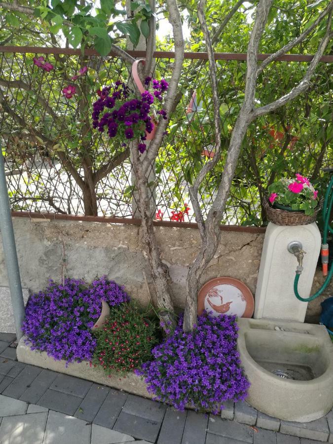 Apartment Vesna Zadar Ngoại thất bức ảnh